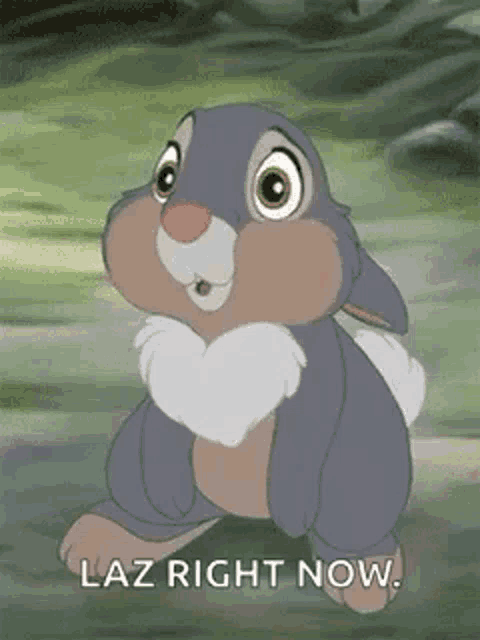 a cartoon rabbit is standing in the grass with the words `` laz right now '' written below it .