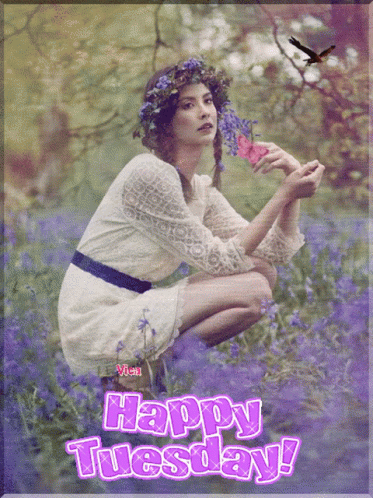 Happy Tuesday Purple GIF - Happy Tuesday Purple Lavender GIFs