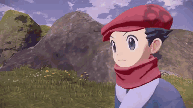 a boy wearing a red hat and scarf is standing in a field