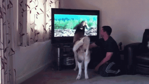 Let Me At 'Em! GIF - Dog Attack Fight GIFs