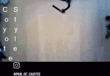 a screenshot of a video that says paw_of_caiotee at the bottom