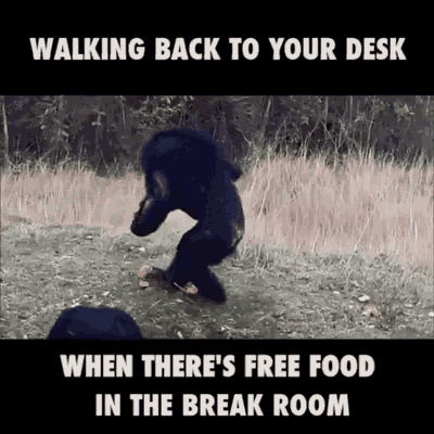 Walking Back To Your Desk When Theres Free Food In The Break Room Funny Animals GIF - Walking Back To Your Desk When Theres Free Food In The Break Room Funny Animals GIFs