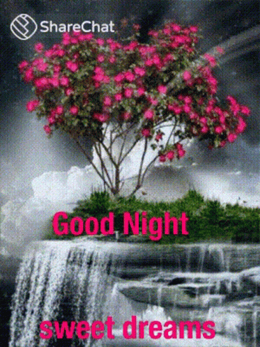 Good Night Sweet Dreams GIF - Good Night Sweet Dreams Sharechat GIFs