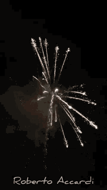 roberto accardi took a picture of fireworks in the night sky