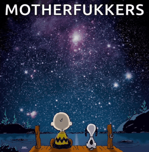 a poster with charlie brown and snoopy looking at the stars