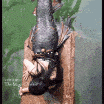 a statue of a mermaid with the words video by the magic crafter