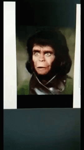 Evolution Monkey GIF - Evolution Monkey Human GIFs