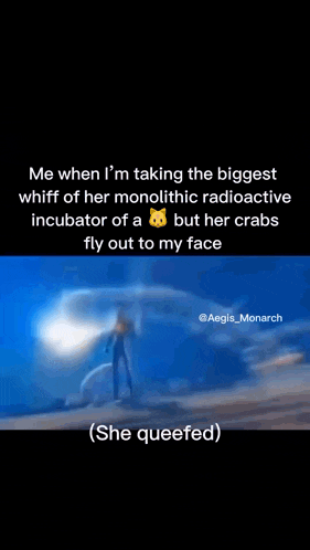 a person is taking the biggest whiff of her monolithic radioactive incubator of a cat but her crabs fly out to my face