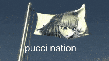 a pucci nation flag with a picture of a girl