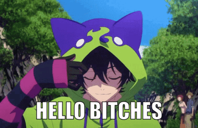 a person wearing a cat hoodie with the words hello bitches on the bottom