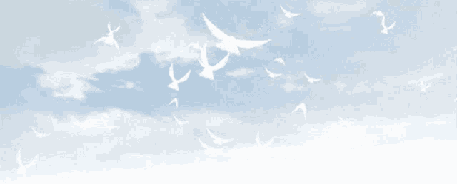 a flock of white birds are flying in the blue sky