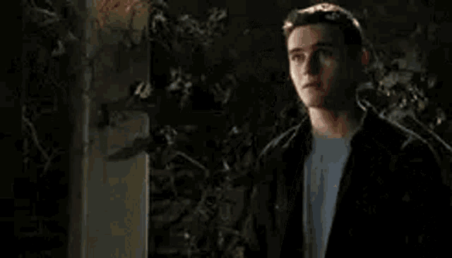 a young man in a black jacket and white shirt is standing in front of a tree at night .