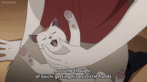 a cartoon of a person holding a cat with the words just the thought of soichi getting his evil little hands below it
