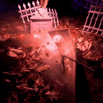 the grave of agatha smith is surrounded by a fence