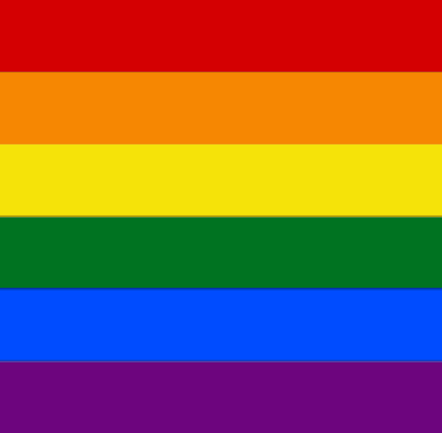a rainbow flag with a silhouette of a person in the middle