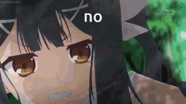 a close up of a girl 's face with a caption that says no