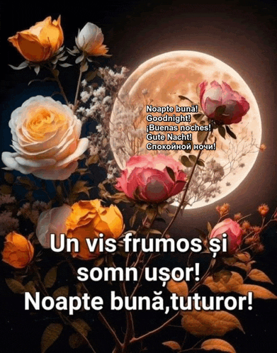 a picture of flowers with a full moon in the background and the words un vis frumos somn usor