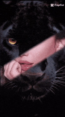 a woman 's face is behind a black cat 's nose and the caption reads capcut