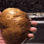 a close up of a person holding a potato in their hand .