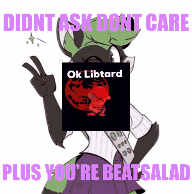 Beatsalad Ok Libtard GIF - Beatsalad Ok Libtard Didnt Ask GIFs