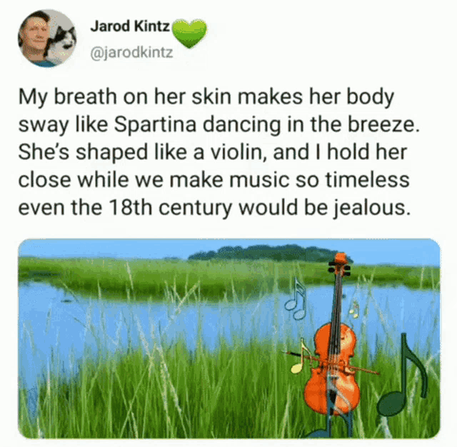 Music Poetry GIF - Music Poetry Violin GIFs