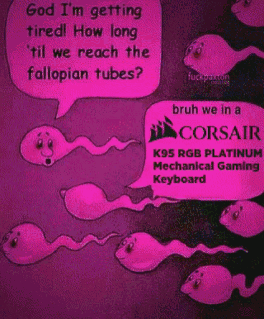 a cartoon of sperm talking about corsair keyboards