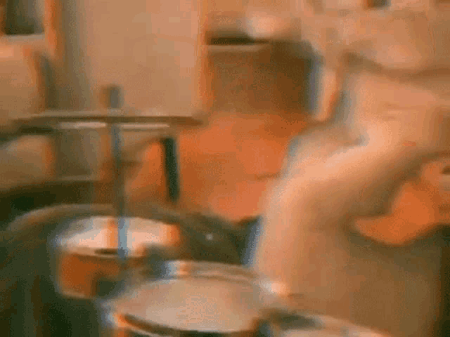 Drummer Cat GIF - Drummer Cat Perfomer GIFs