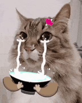 Cat Crying GIF - Cat Crying Tears GIFs