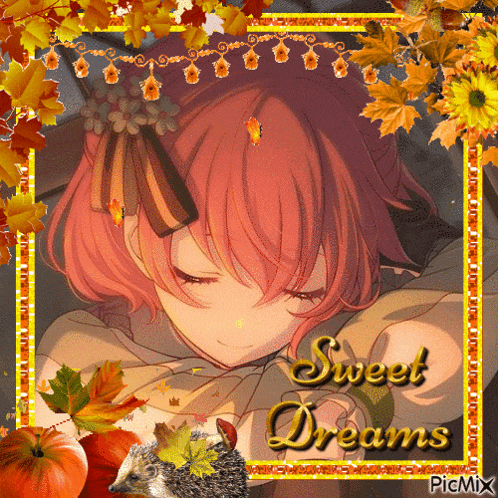 a picture of a girl sleeping with the words sweet dreams on the bottom