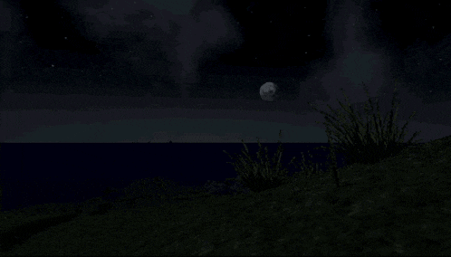 a full moon is visible over a body of water at night