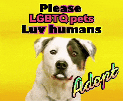 a picture of a dog with the words please lgbtqpets luv humans above it