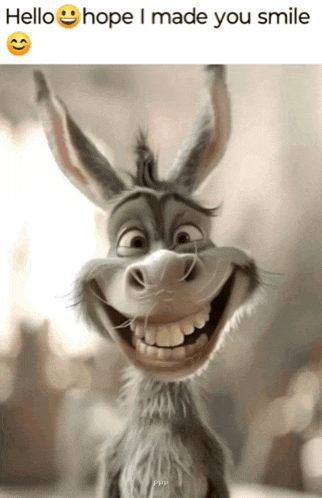 a picture of a donkey smiling with the words hello hope i made you smile above it