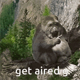 a gorilla is sitting on a rock with trees in the background and the words `` get aired g '' written below it .