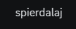 Wulgarny Bedoes Meme