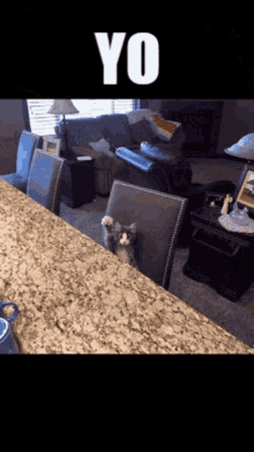 a cat sitting on a chair in a living room with the word yo written above it