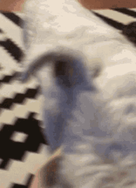 a black and white checkered rug with a white blanket on top of it