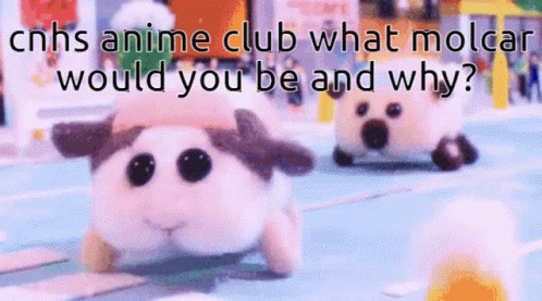 Cnhs Cnhs Anime Club GIF - Cnhs Cnhs Anime Club Anime Club GIFs