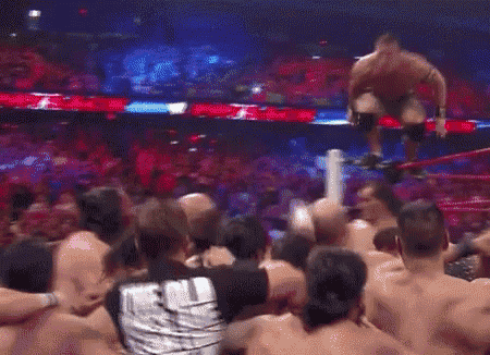 a crowd of people are watching a wrestler in a wrestling ring