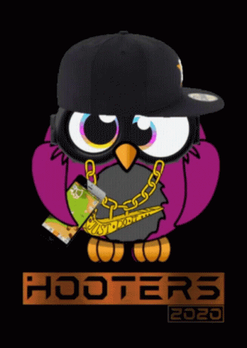 Battle Camp Owl GIF - Battle Camp Owl Hoooters GIFs