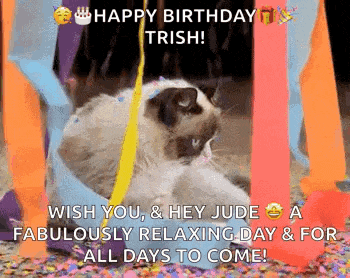 a happy birthday card with a cat laying on the floor surrounded by ribbons .