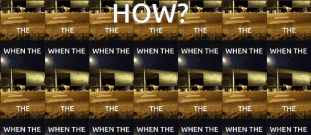 How Pushups GIF - How Pushups When The GIFs