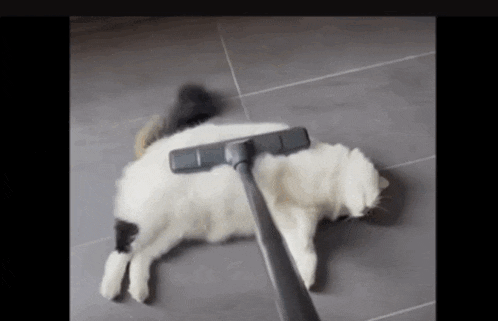 a black and white cat laying on the floor being vacuumed