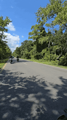 two motorcycle riders are riding down a road surrounded by trees