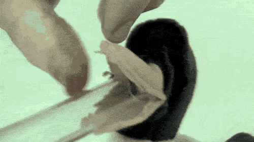 a person is holding a snake in their hand and a snake is coming out of the snake 's mouth .