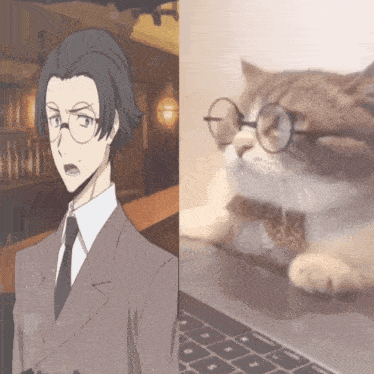 a man in a suit and tie and a cat wearing glasses