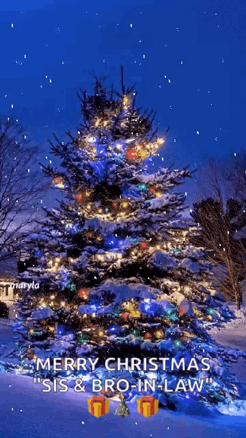 a christmas tree is covered in snow and lights and says merry christmas sis & bro-in-law