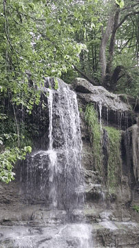 a waterfall in the middle of a forest with trees in the background