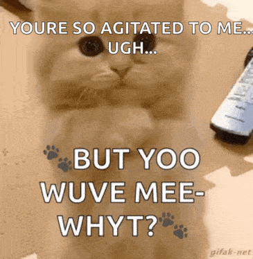 a kitten is sitting next to a remote control and says you 're so agitated to me ugh