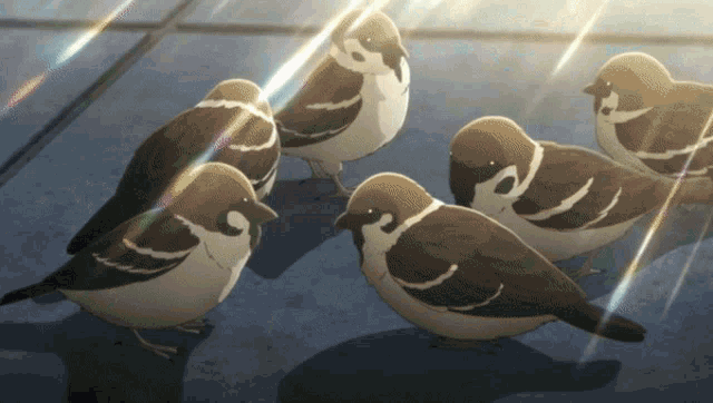 a group of brown and white birds are standing on a concrete surface