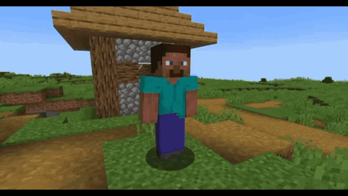 a minecraft character named steve is standing in front of a stone wall